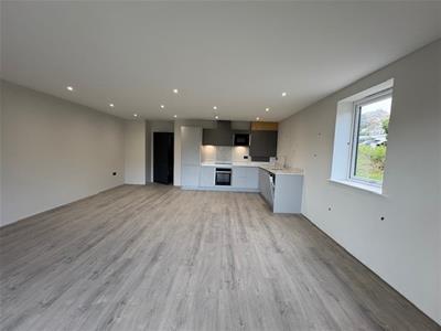 Kitchen/dining/living area